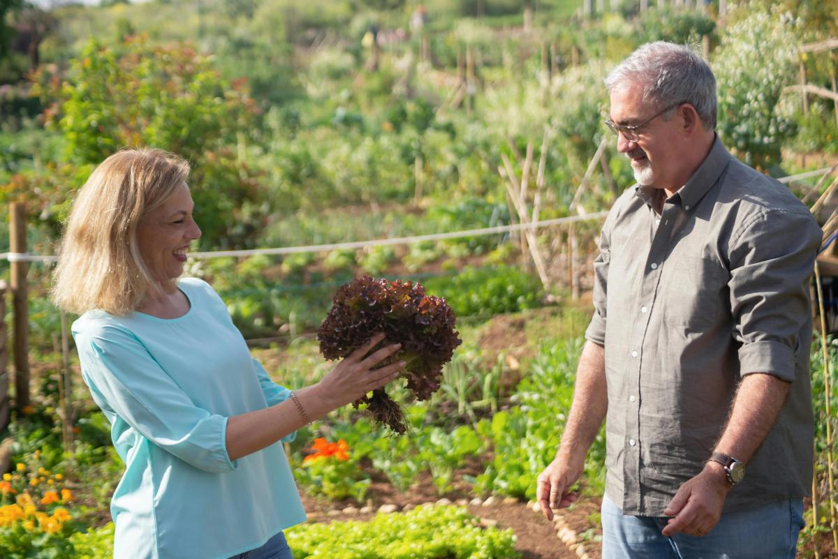 Jardins Passion : Experts en Potager Durable et Productif