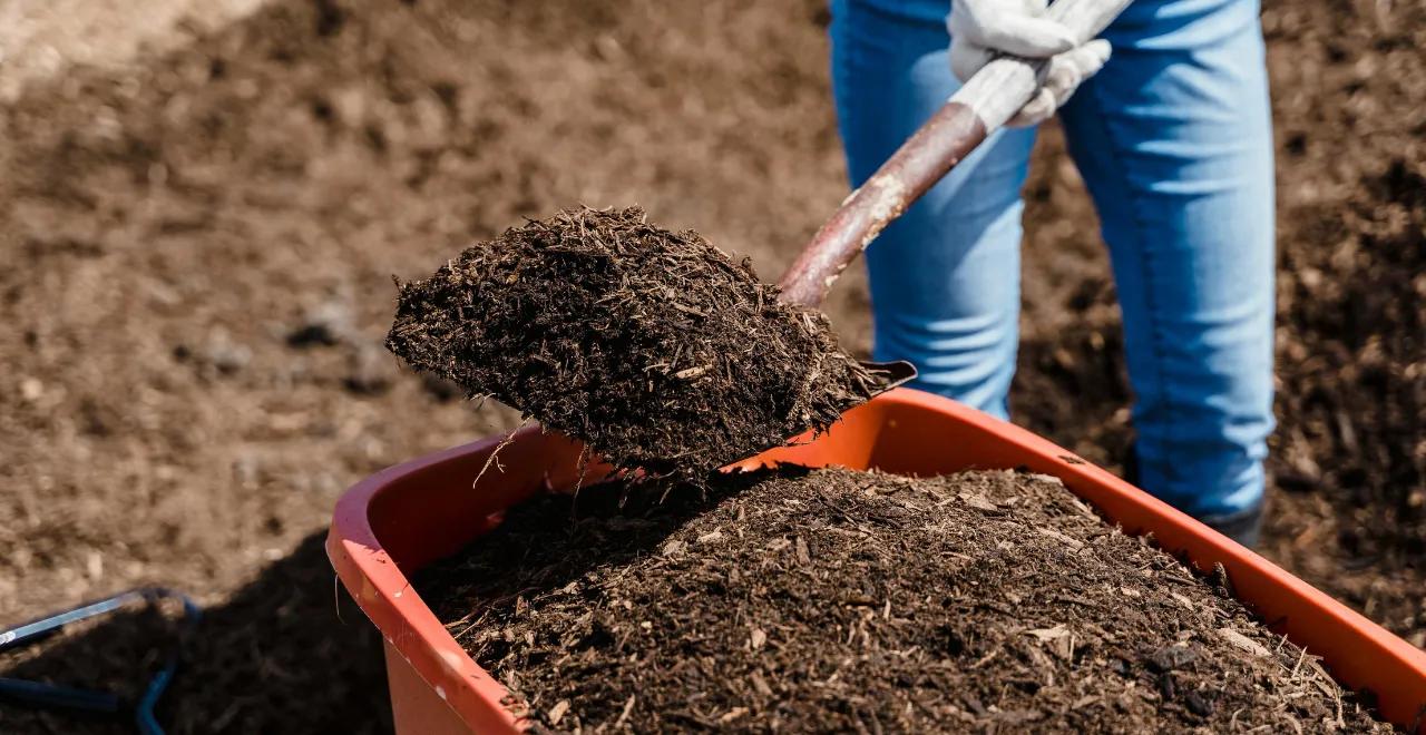 Tas de compost frais dans un jardin, entouré de plantes verdoyantes