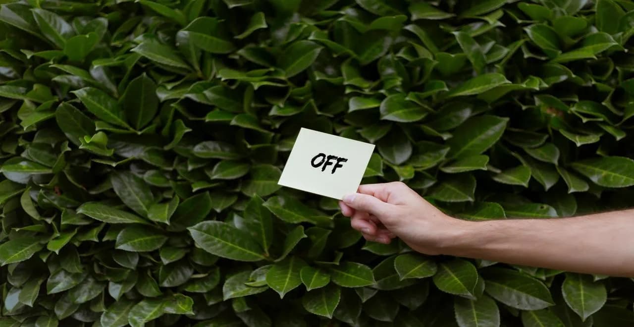 Feuilles de noyer utilisées dans un jardin