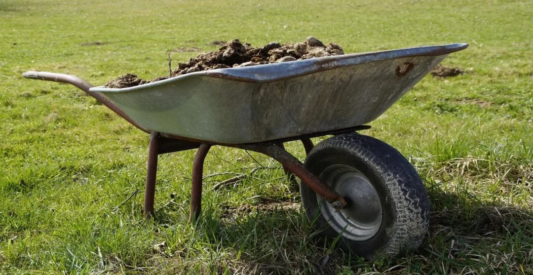 Fumier de mouton : le secret pour un jardin florissant !