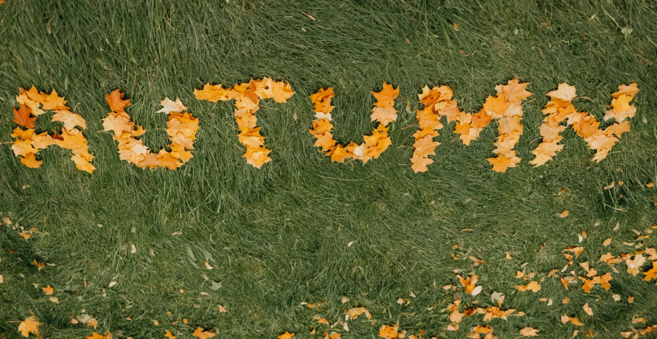 Feuilles d'automne avec des mots 'autumn' écrits dessus.