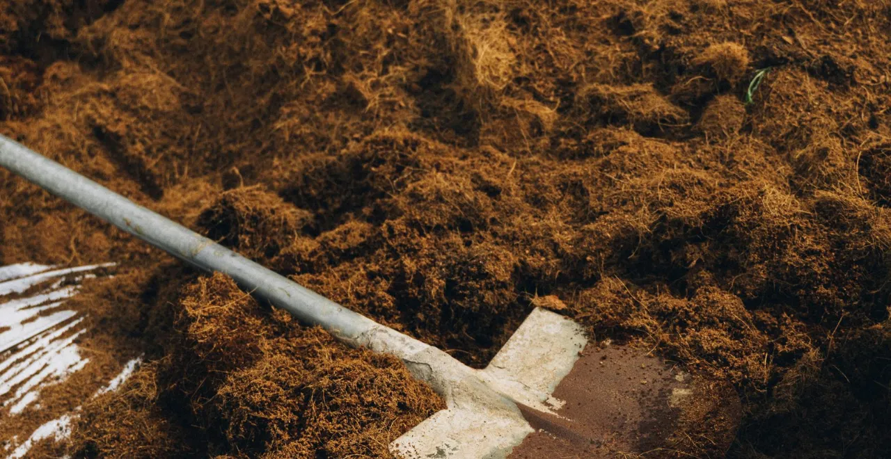 Tas de compost brun et vert dans un jardin, avec des feuilles et des épluchures visibles