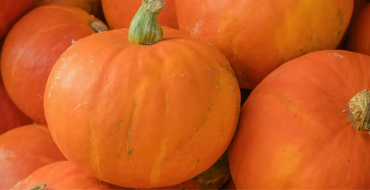 Courge butternut coupée en deux, révélant sa chair orange et ses graines