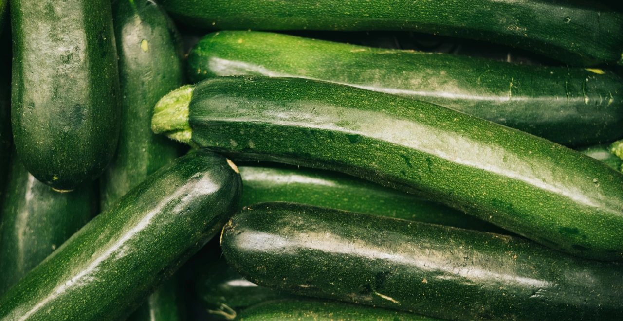 Tas de courgettes vertes fraîchement récoltées