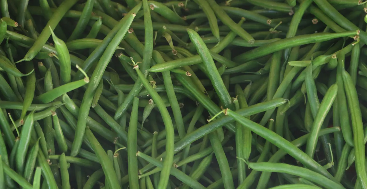 un tas d'haricots verts