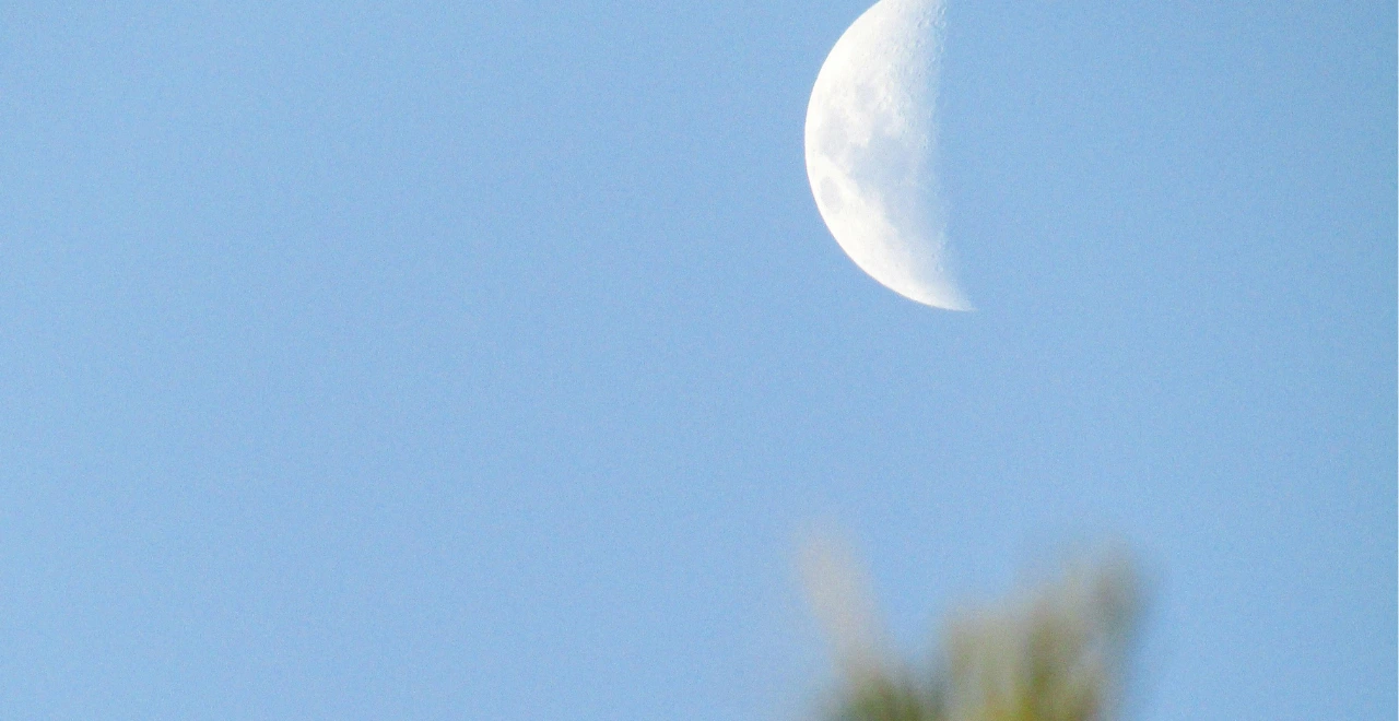 Lune brillante éclairant le potager la nuit