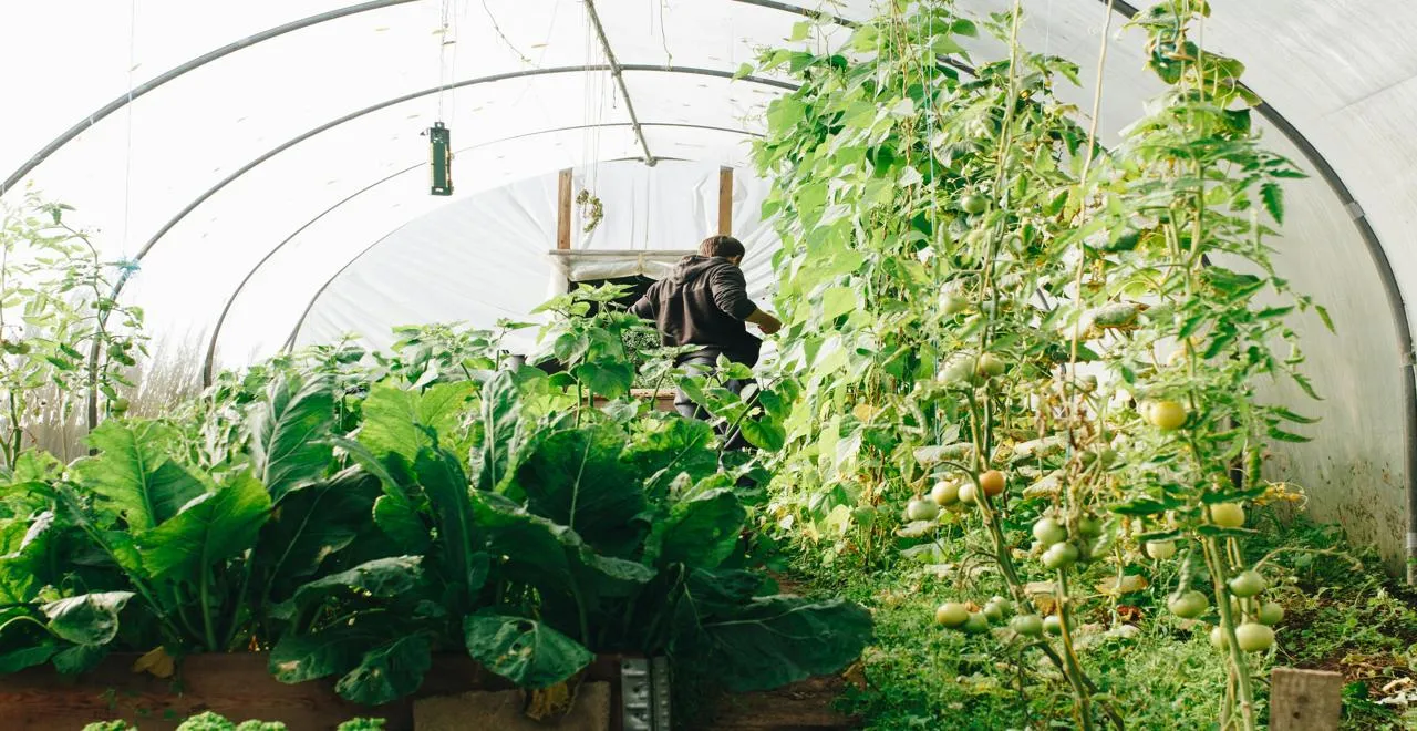 Aménagez votre jardin avec une bâche pour serre tunnel durable facilement