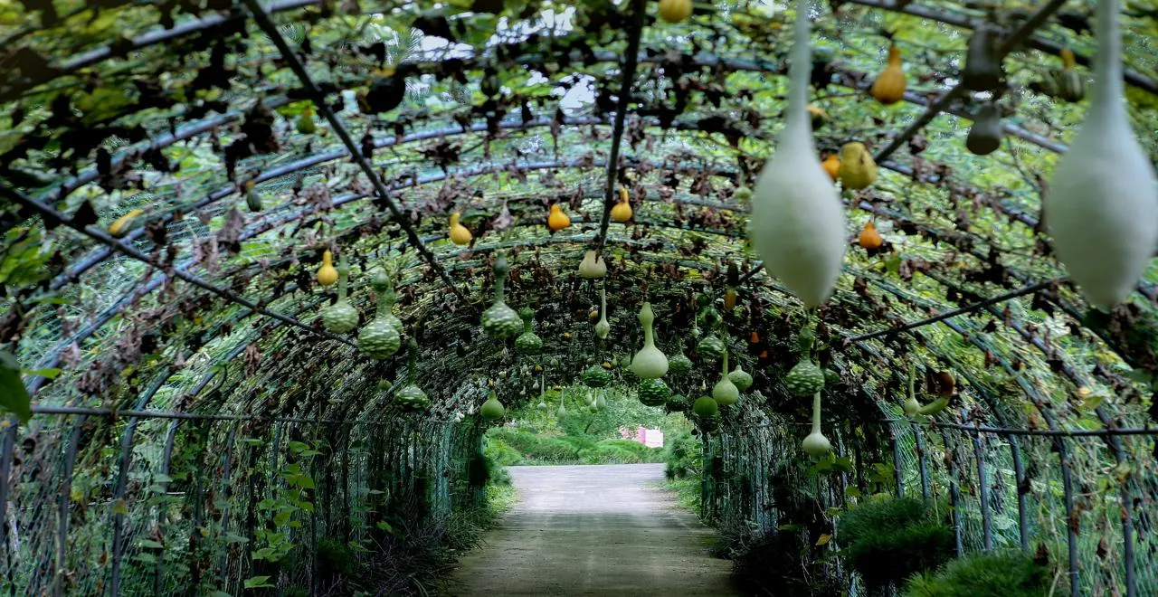 Techniques de jardinage de Charles Dowding pour un potager productif