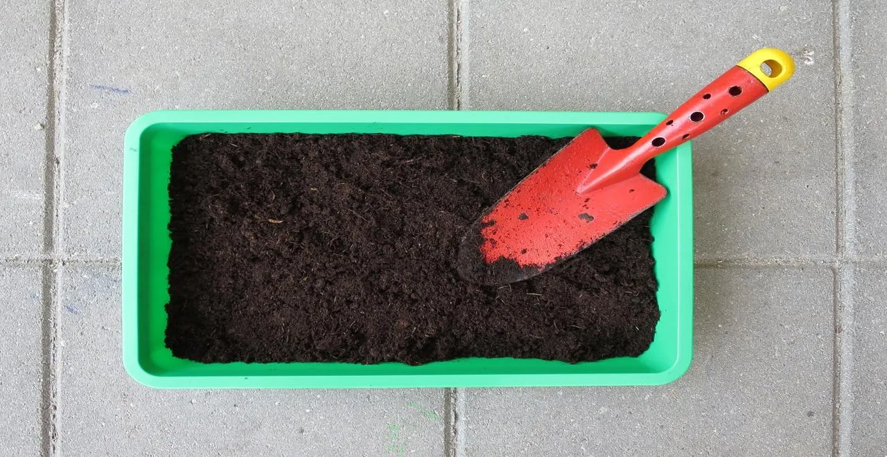 Phases lunaires avec des plantes de jardin en arrière-plan