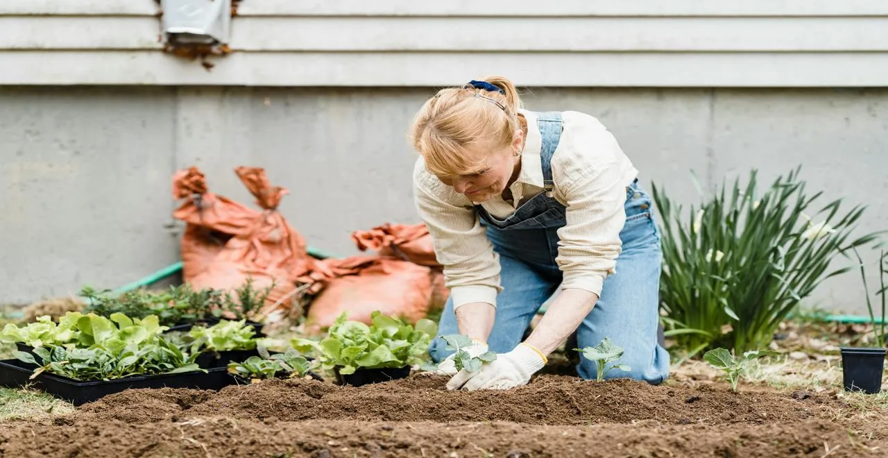 Vue d'un potager florissant avec des légumes variés