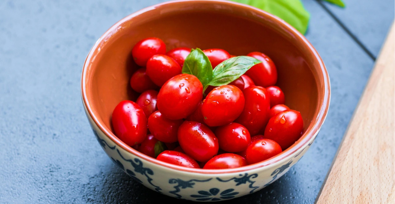 Main tenant un arrosoir, versant délicatement de l'eau sur un plant de tomates cerises chargé de fruits rouges et verts dans un potager ensoleillé