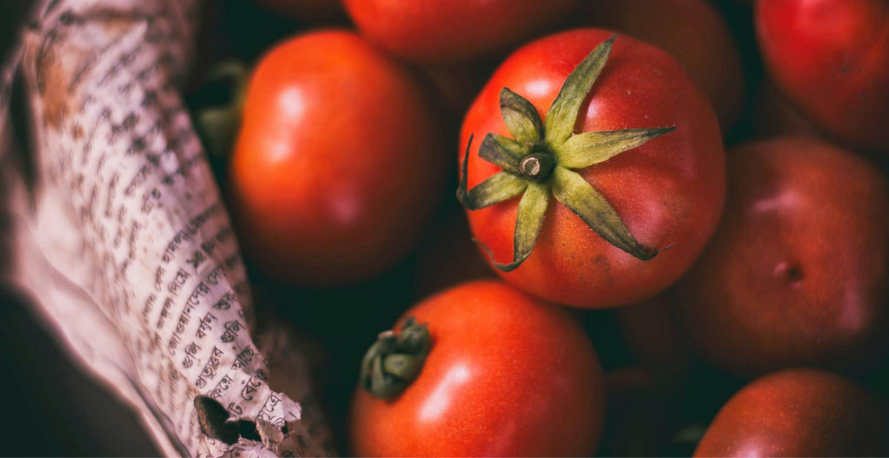 Panier en osier débordant de tomates fraîchement cueillies, mêlant variétés rouges, jaunes et vertes sur fond de potager ensoleillé