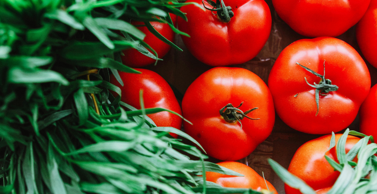 Assortiment coloré de tomates heirloom sur une table en bois rustique, montrant la diversité des formes, tailles et couleurs